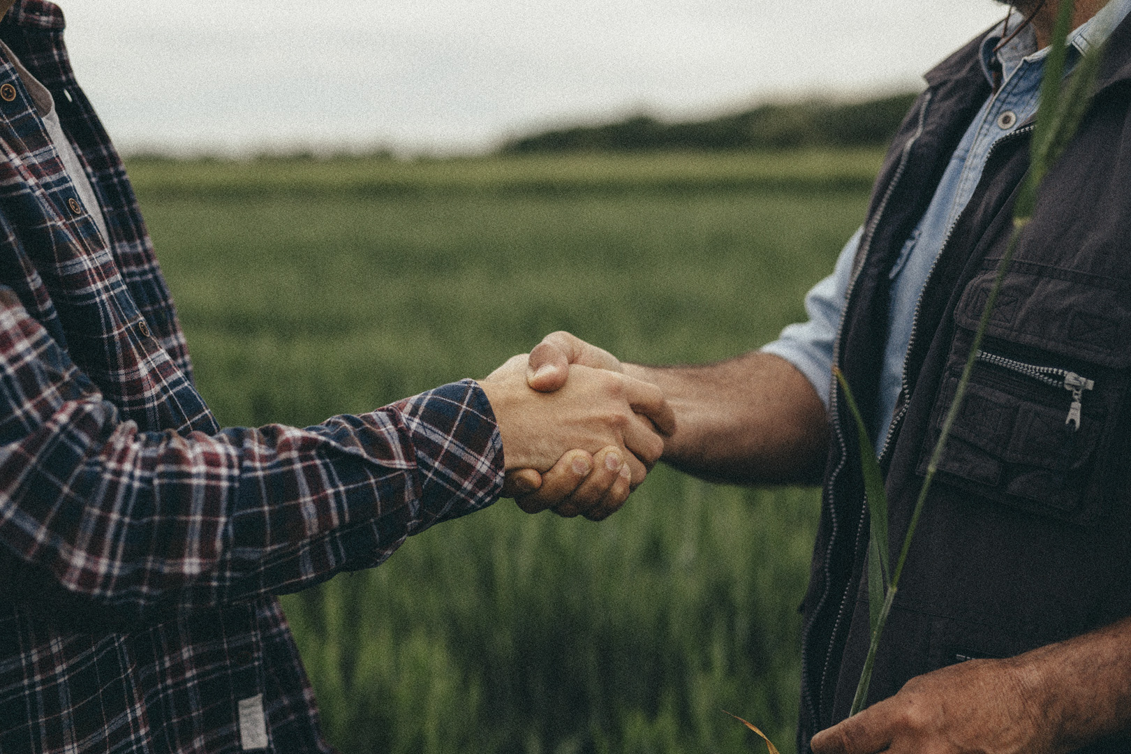 Kloovis Contenu Ecologie